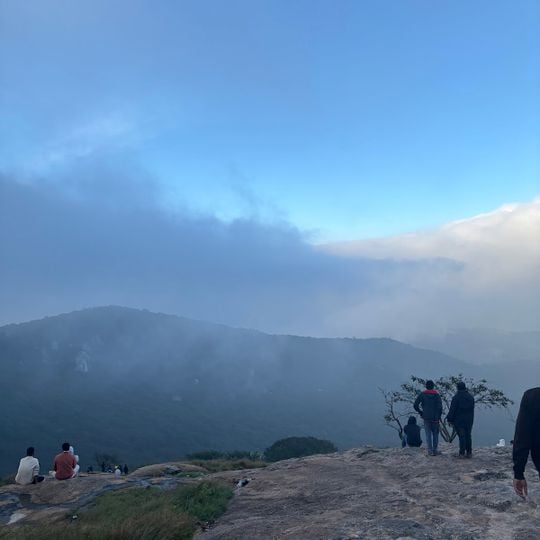 Horsley hills top point