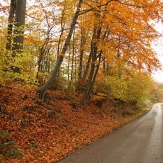 Elverenberg-Vossenhol