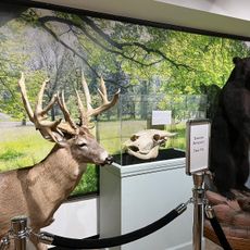 Georgia Museum of Natural History