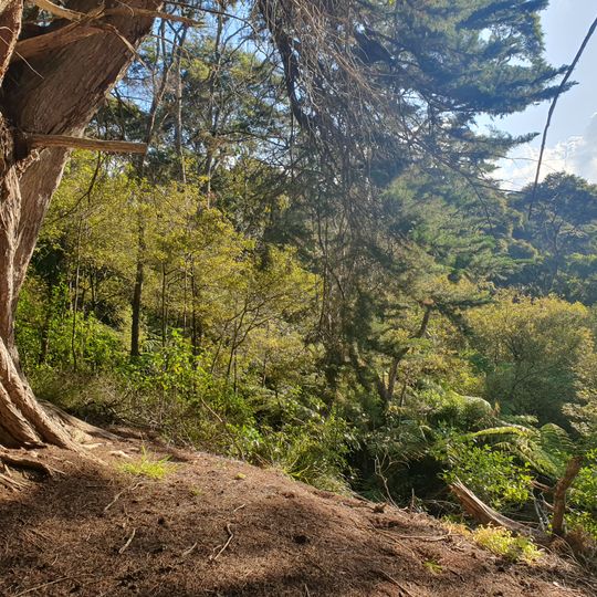 Orere Point Regional Park