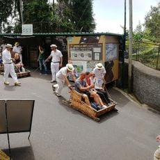 Basket Carts of Monte