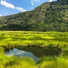 Parc national de Semuliki