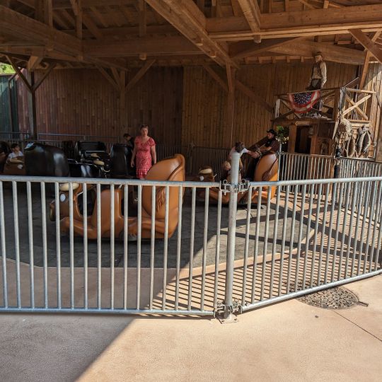 Les Taureaux Sauvages