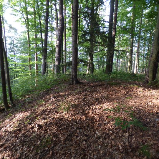 Wallanlage Sechzigerberg