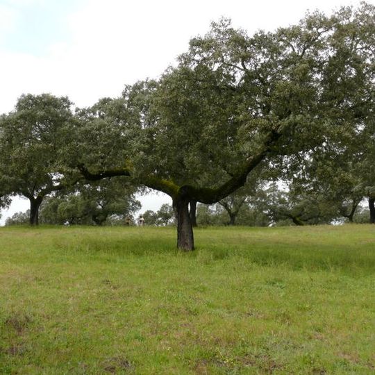 Sierra de Cardeña y Montoro