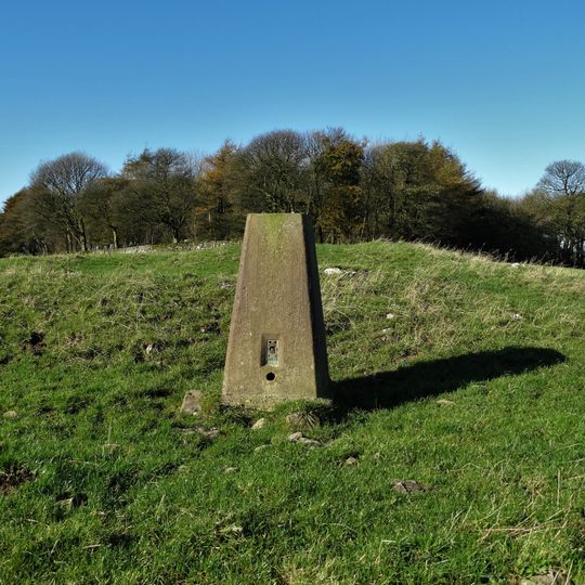 Aleck Low bowl barrow