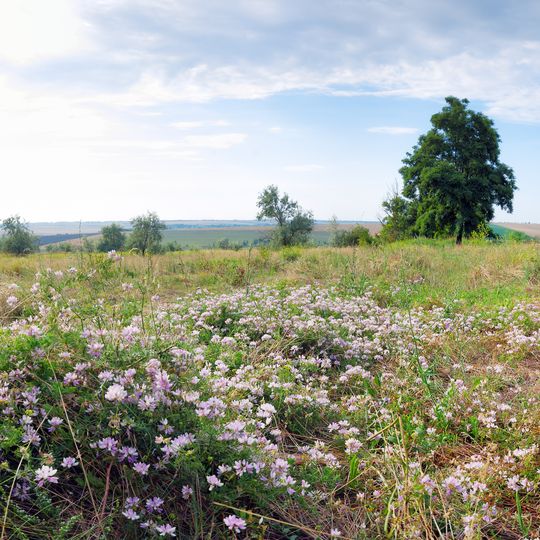 Zhovtnevyj entomological preserve