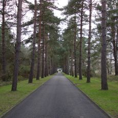 Cmentarz w Brookwood