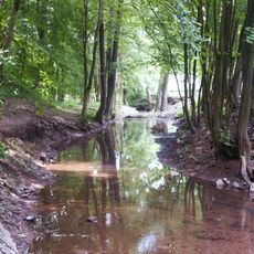 Luční potok v Podkrkonoší