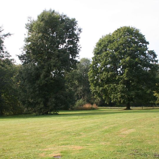 Park pałacowy w Linowie