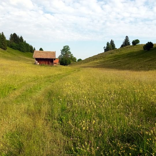 Schmelzwasserrinnen und Toteislöcher bei Pfronten