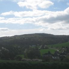 Grauer Kopf