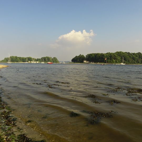 Okseøer