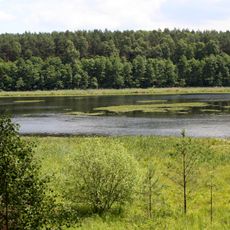 Nature reserve Miedzno