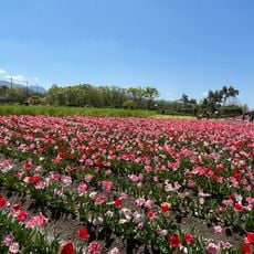 和泉リサイクル環境公園