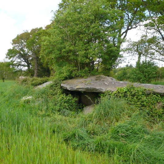 Allée couverte von Loc’h ar Pont