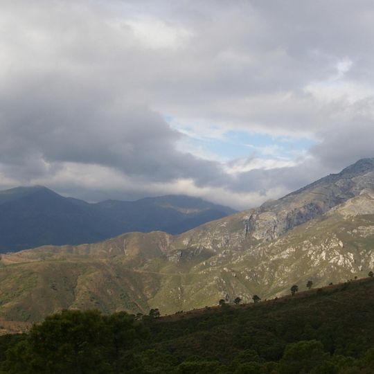 Parc national de la Sierra de las Nieves