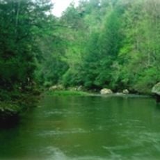 Red River Gorge