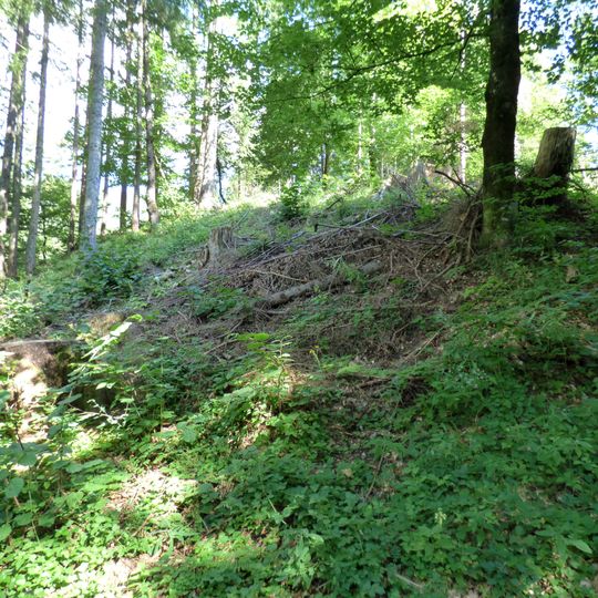 Befestigte Höhensiedlung St. Helena