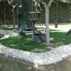 Isfahan Birds Garden