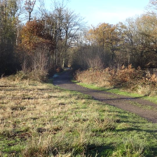 Bricket Wood Common