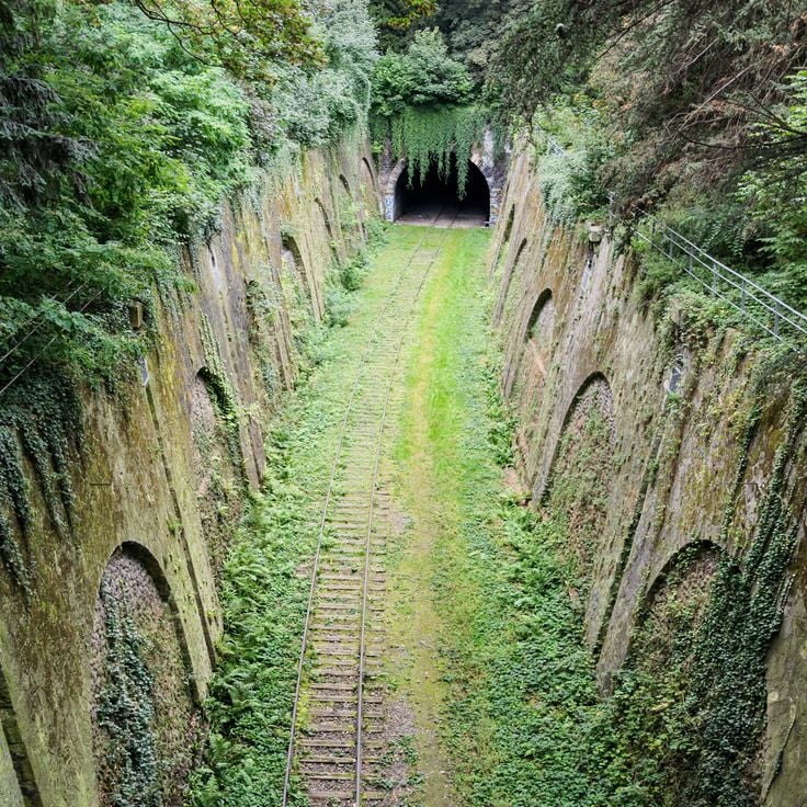 La Petite Ceinture de Paris