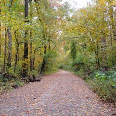 Old Forest Arboretum of Overton Park
