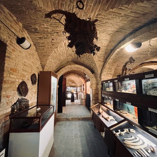 Museo civico di storia naturale