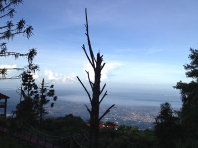 The view 1
