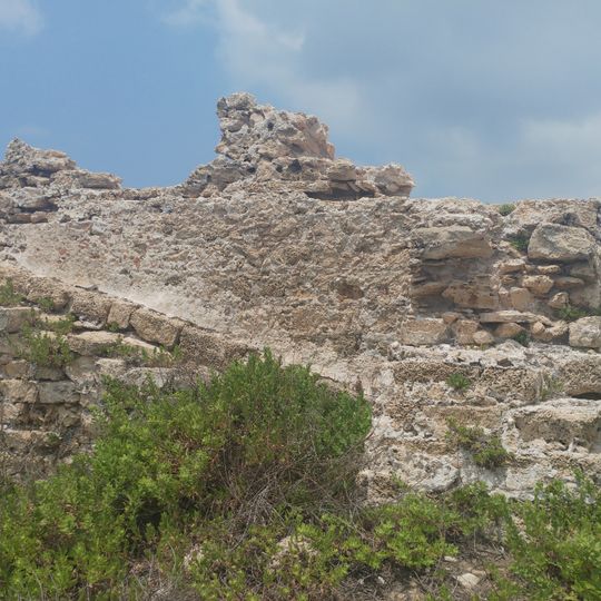 Tel Taninim