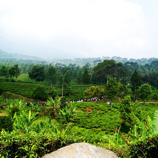 Puncak