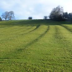 Medieval settlement including part of open field system, 200m south of Bank Farm