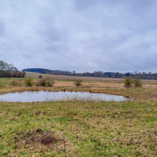 Lanker See und Kührener Teich