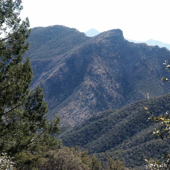 Huachuca Mountains