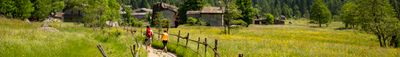 Panoramic View 1