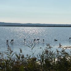 Point de vue sur l'Etang de Berre