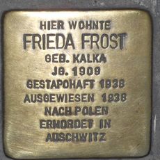 Frieda Frost