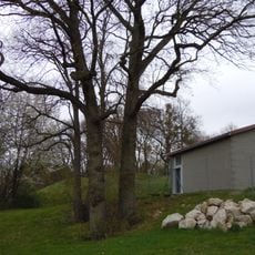 Vulkanembryo Geigersbühl mit 3 Linden