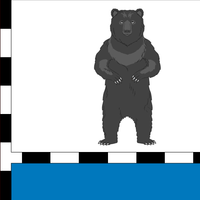 Новоургальське міське поселення