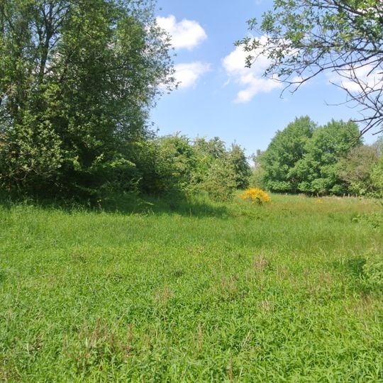 NSG Paustenbacher Venn