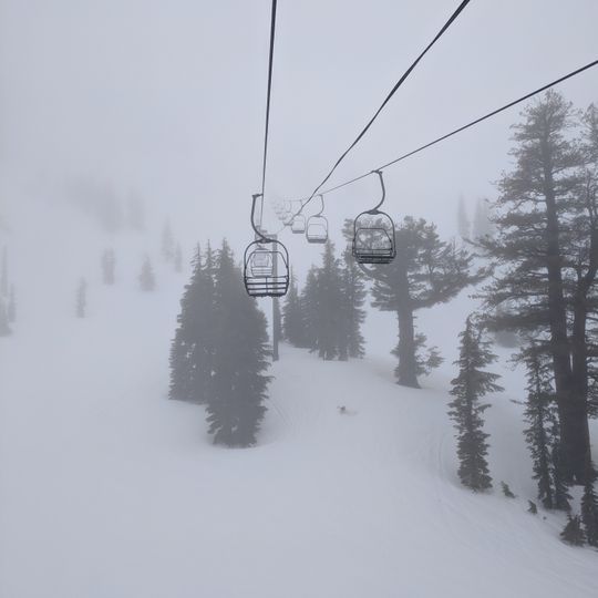 Alpine Meadows