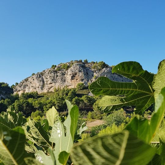 Grotte de la Crouzade