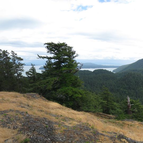 Cypress Island