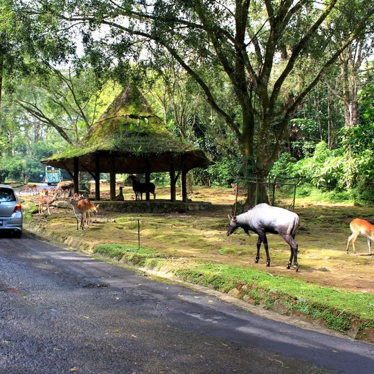 Taman Safari