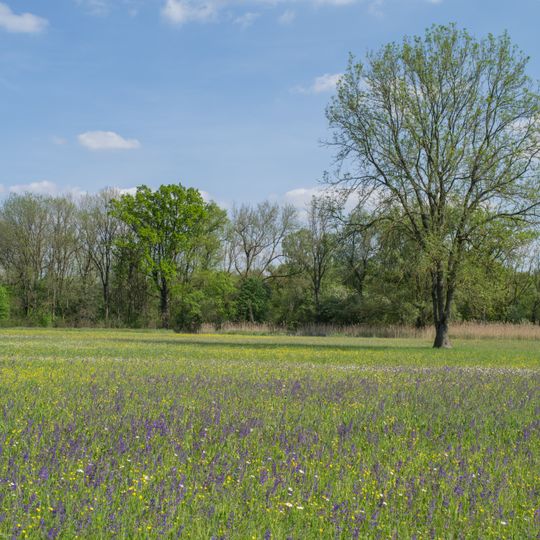 Donaualtwasser Schnödhof