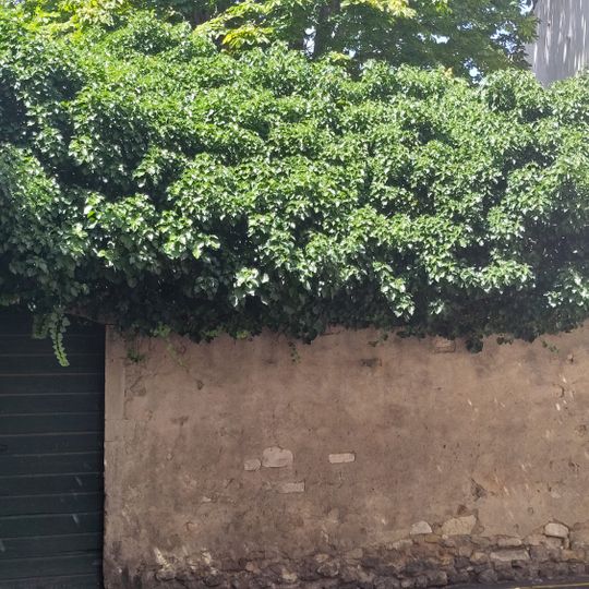 Immeuble, 3 rue de Lamourguier