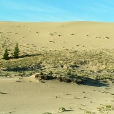 Chara Sands