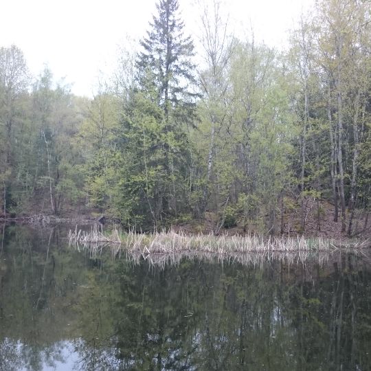 Birkenfelder Tongrube