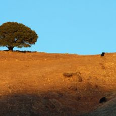 Diablo Foothills Regional Park
