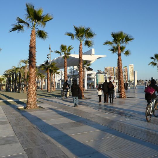 Palmeral de las Sorpresas